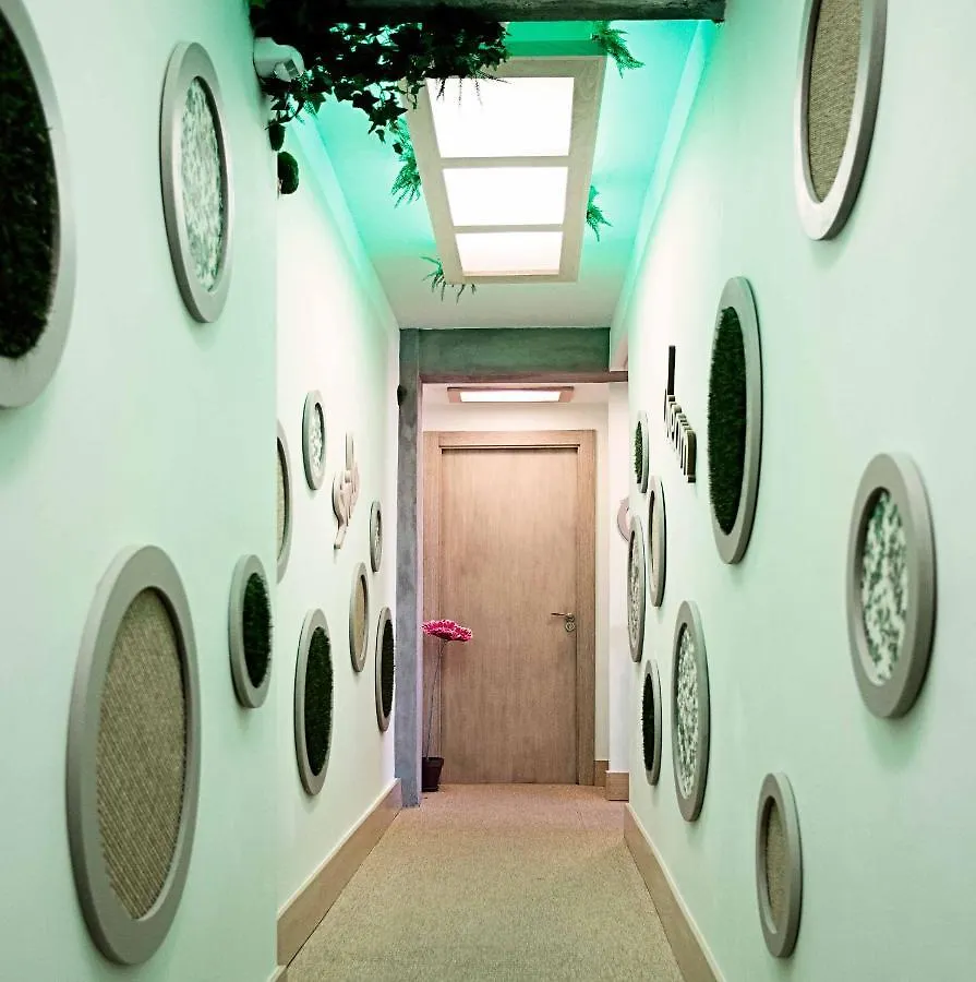 Estudios En Ciudad Malaga Spain